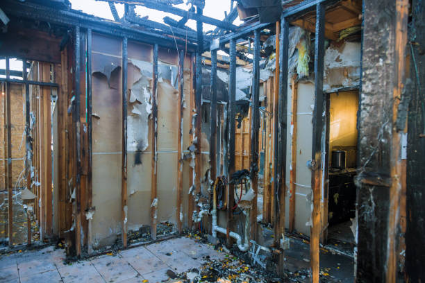Professional Smoke Damage Removal technician working in Eden Prairie, MN